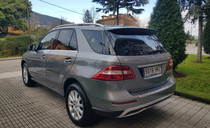 MERCEDES-BENZ ML 250D