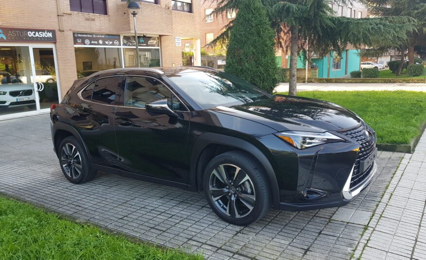 LEXUS UX 250H