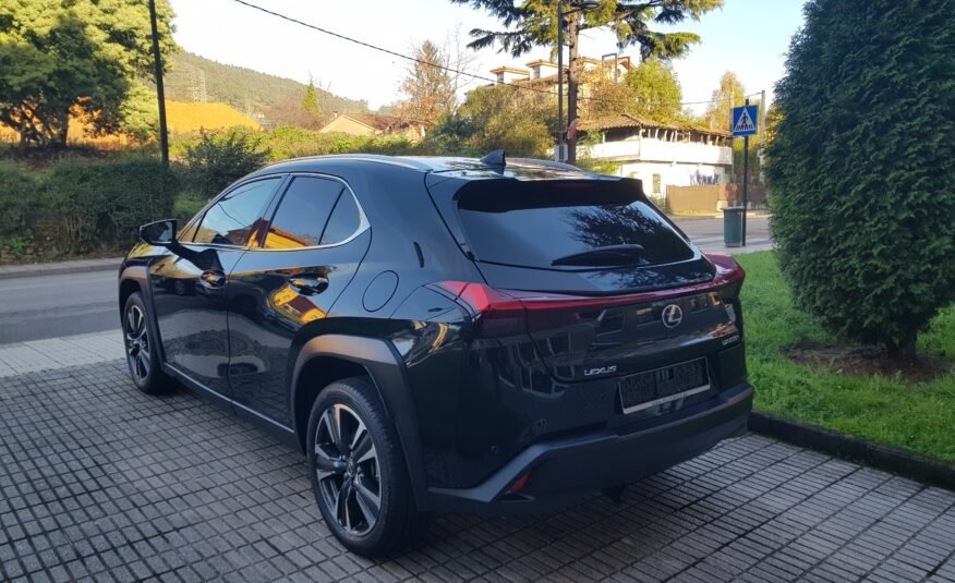 LEXUS UX 250H