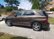 MERCEDES GLE 250D