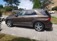 MERCEDES GLE 250D